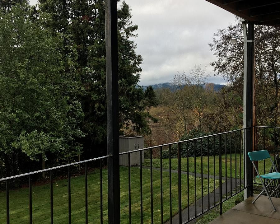 back yard as seen from your deck