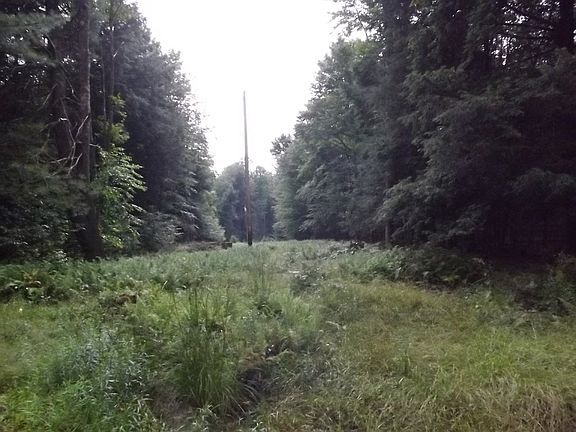 5th image of 0 Mullen Ln