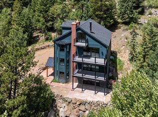 205 Loop Dr, Georgetown, CO 80444