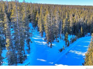 239 Puma Pl #650, Fairplay, CO 80440