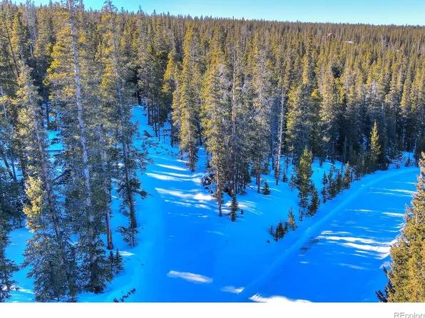 239 Puma Place LOT 650, Fairplay, CO 80440