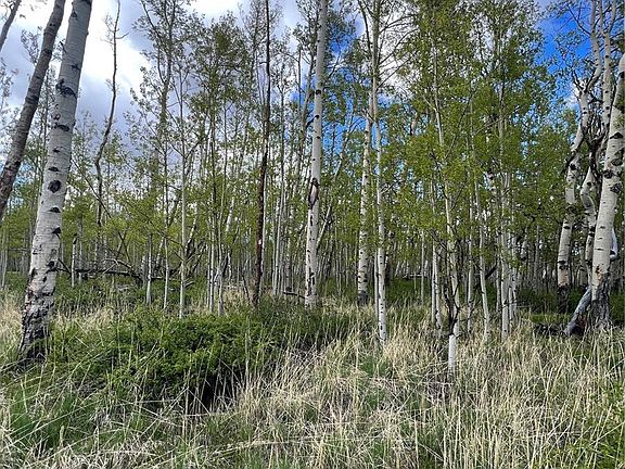 4th image of 138 June Grass LOT 315