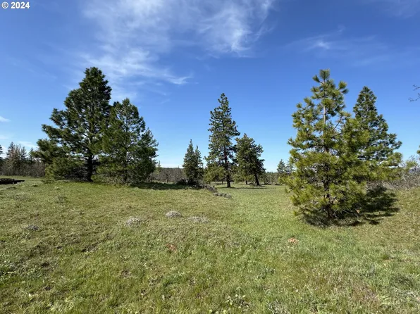 Chisholm, Goldendale, WA 98620