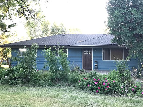 Peonies, roses, daisies etc