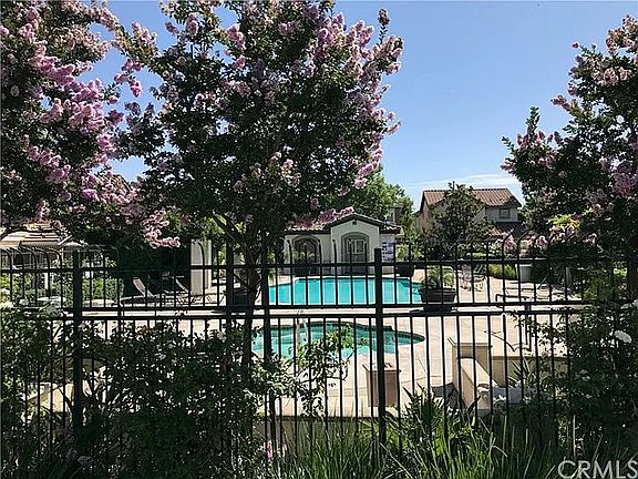 Pool and SPA