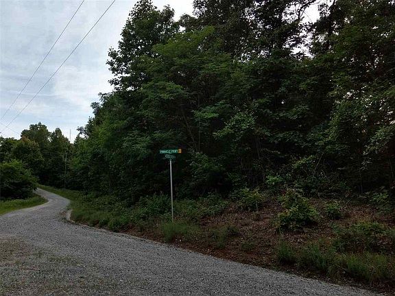 3rd image of 0 Pinnacle Pkwy Lot 3