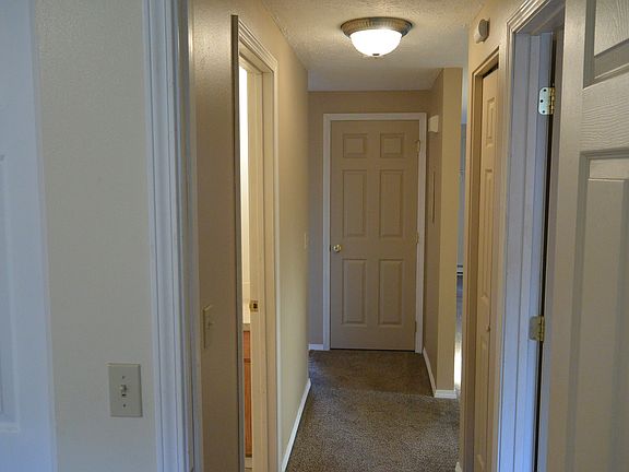 Fresh Paint, New Carpet