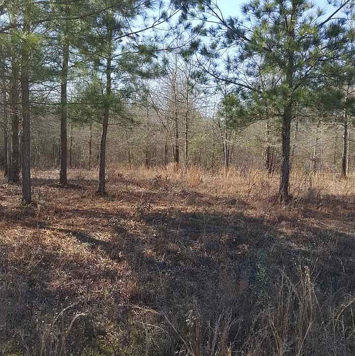 2nd image of 19 Brookewind Ln Lot 19