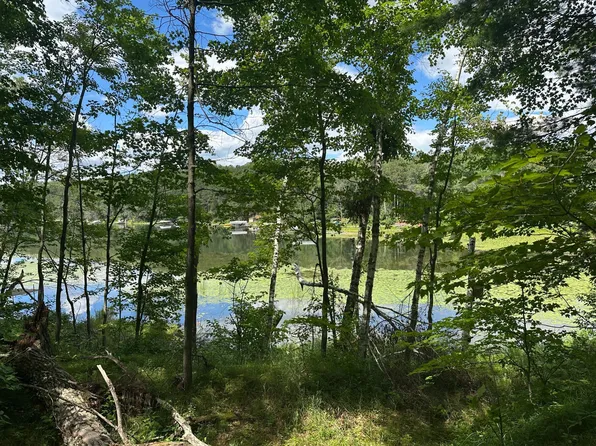 Tbd White Pine Ln, Motley, MN 56466