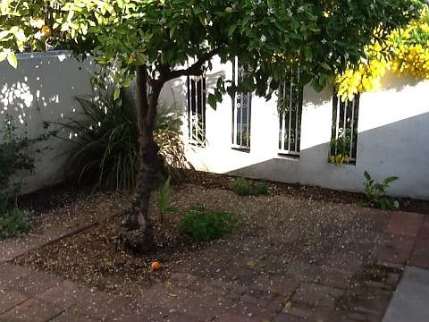3rd image of 2744 Barcelona Dr