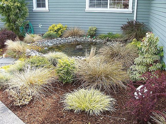 Water feature surrounded by beautiful landscaping.