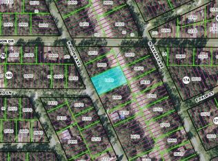 45 S Rooks Ave, Inverness, FL 34453