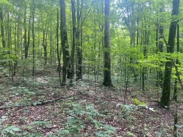 LOT 3 Little Berry Way, Del Rio, TN 37727