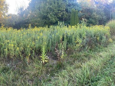14120 Monroe Mills Rd LOT 324, Howard, OH, 43028