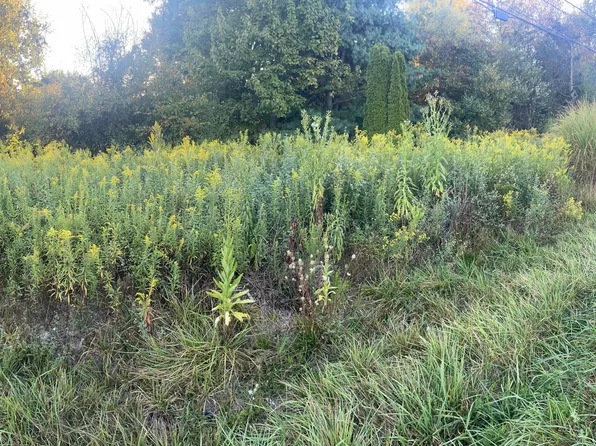 14120 Monroe Mills Rd Lot 324, Howard, OH 43028