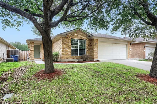 1506 Campanella Cv Photo 1