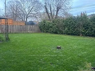 65 Cummer Ave — Photo 10