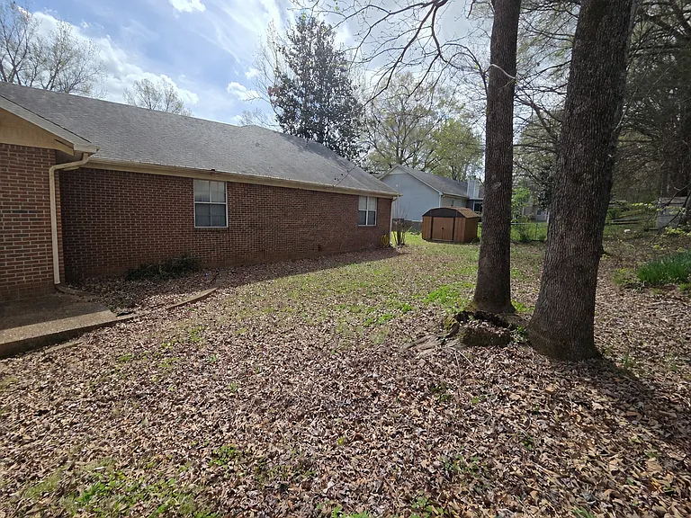 Exterior, backyard