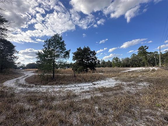 5th image of 42833 Cooter Pond Rd