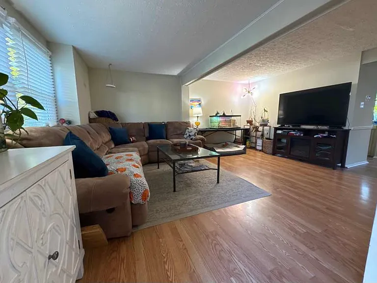 Large bright living room