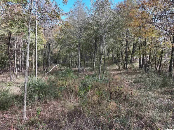 TRACT 2 Highway 84 W, Glenwood, AR 71943