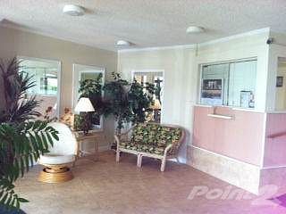 photo (2)