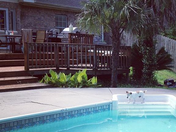 Backyard Deck and Pool
