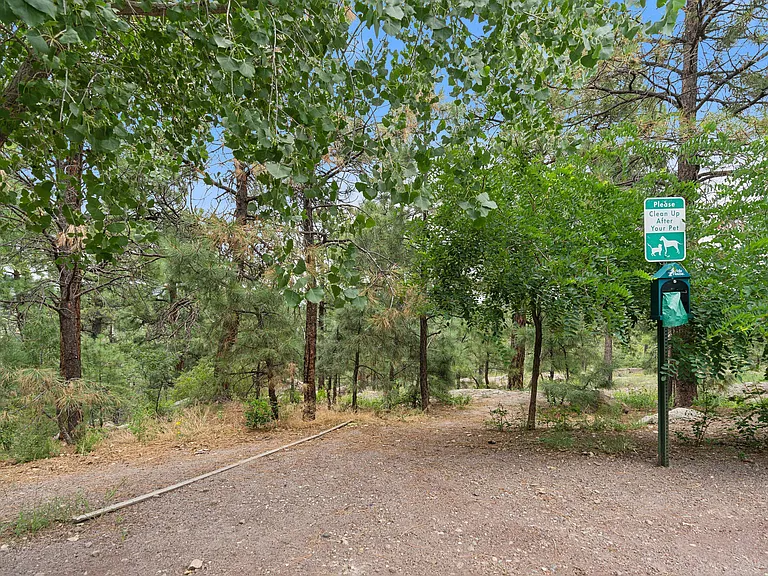 Canyon Village — Photo 15