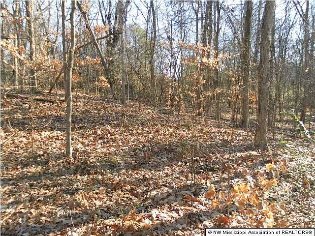 1st image of 10819 Glen Cairn Cv