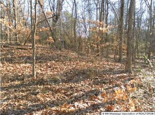 10819 Glen Cairn Cv, Hernando, MS 38632