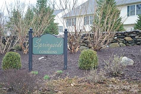 Springside 305 003