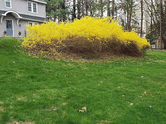 4th image of 135 Armonk Rd
