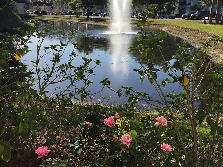 One of two ponds