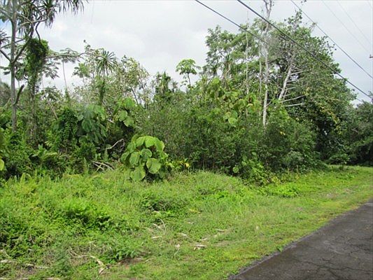 1st image of N Papai St