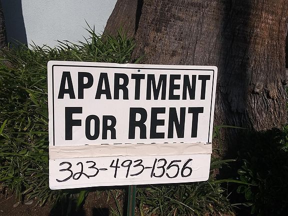 Contact Dustin