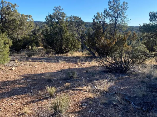 51874 N Cordero Rd, Seligman, AZ 86337