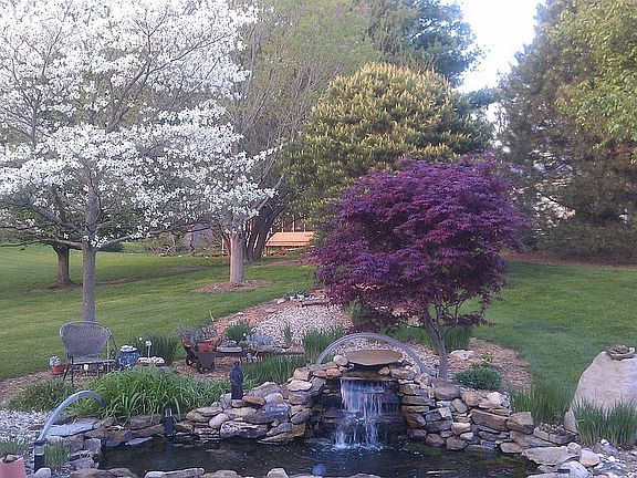 Patio and screen porch view