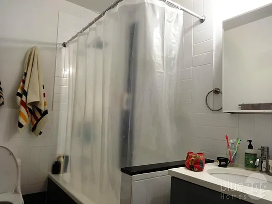 Rented by Blue Egg Realty Corp | media 13