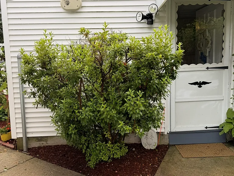 754 Greenville Ave — Photo 2