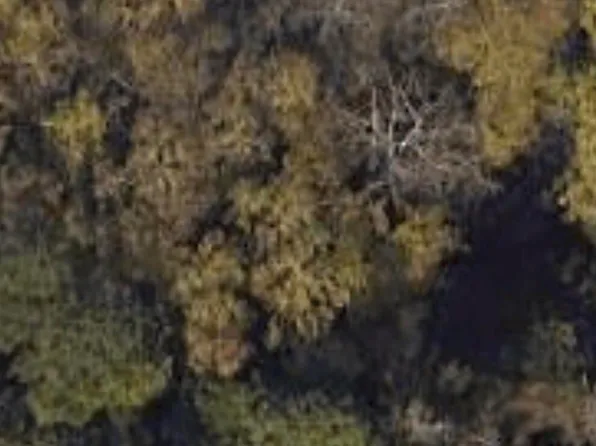 3927 MACK Road, Augusta, GA 30907