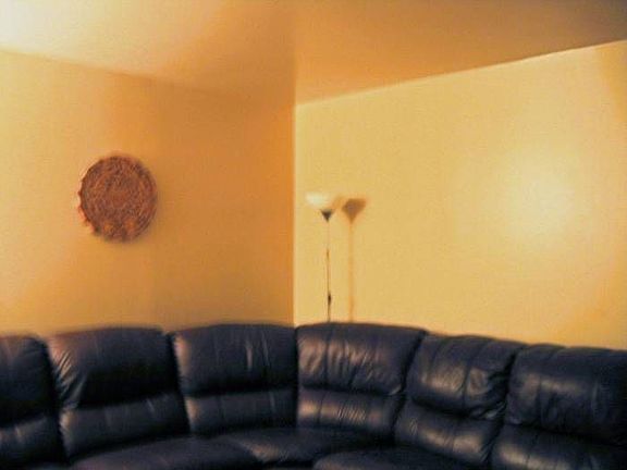 4th image of 6615 W Forest Preserve Dr