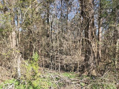 0 Haywood Hollow Rd LOT C, Columbia, TN, 38401