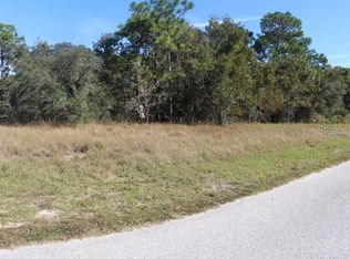 13465 Bruni Dr, Spring Hill, FL 34609