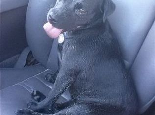 1704 Granada Ave, San Diego, CA 92102