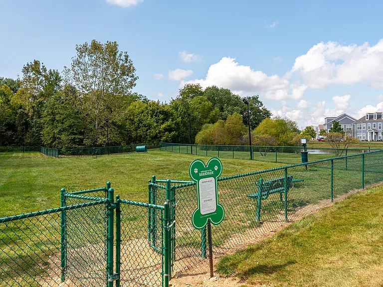 Dog Park