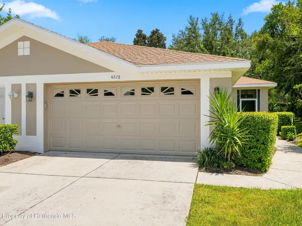 4228 Silver Star Dr, Spring Hill, FL 34609