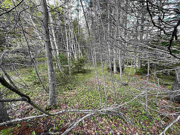 3rd image of Eskasoni Rd Lot 1A