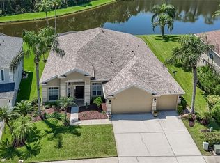 1135 Big Creek Dr, Zephyrhills, FL 33544