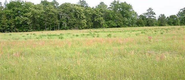 2nd image of Lot 8 N Horace Walters Road