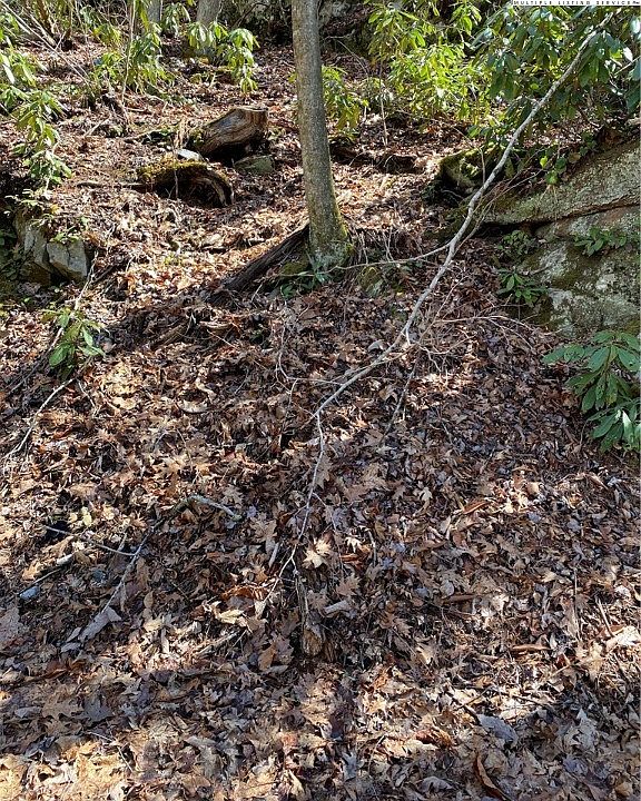 TBD Old Tweetsie Road, Vilas, NC 28692 MLS 242630 Zillow